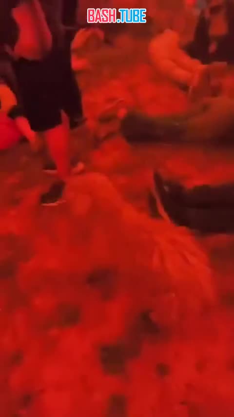  Масштабные эвакуации, десятки погибших и сотни пропавших без вести из-за лесных пожаров в Чили