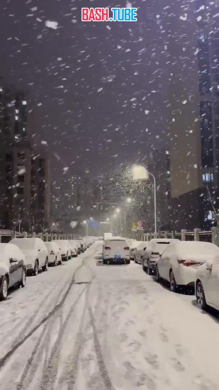  В столице Китая Пекине самый сильный снегопад с января 2010 года