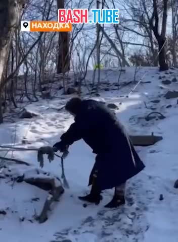  Пенсионерка из Находки ползком добирается до магазина: власти пообещали построить лестницу