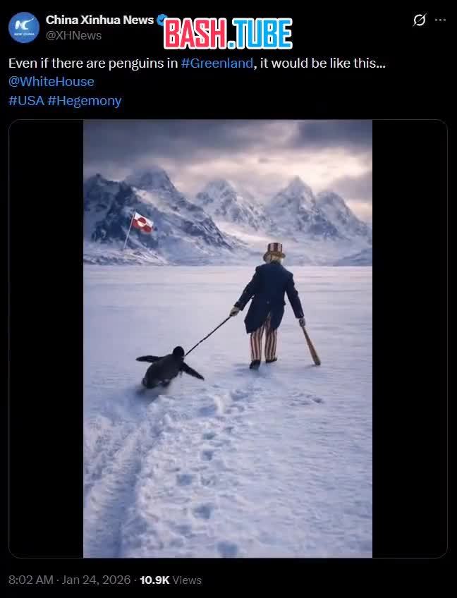  «Даже если бы в Гренландии и были пингвины, они бы выглядели примерно так...»