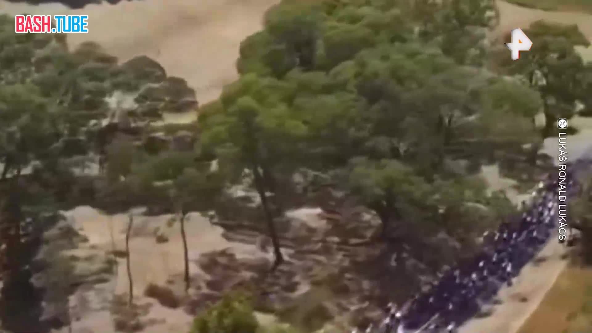  Дорожка препятствий по-австралийски: кенгуру сбил велогонщика, который все равно пришел к старту первым