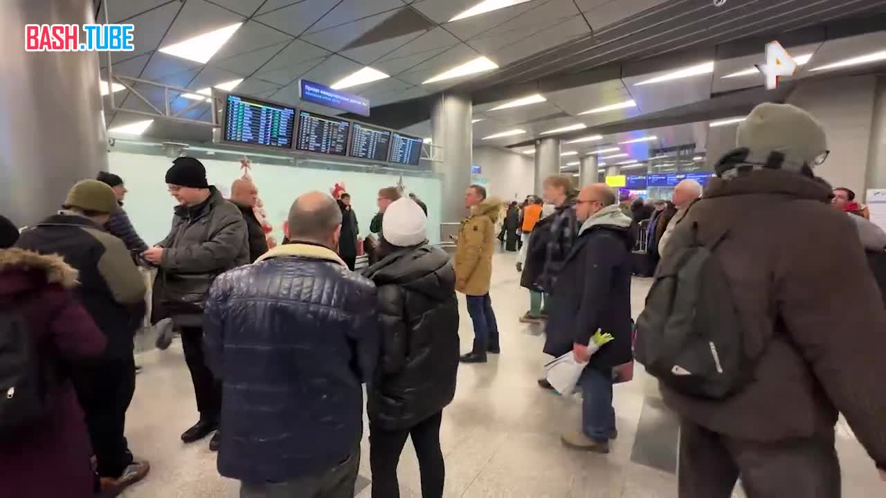  Мать погибшего российского пловца Галина Свечникова прилетела в Москву из Стамбула, где ранее опознали тело Николая