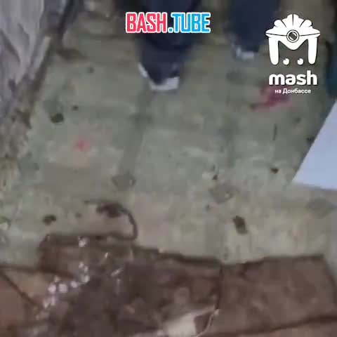  Трупы собак нашли в частном доме в ДНР. Люди рассказали, женщина обустроила там приют и брала хвостиков на передержку