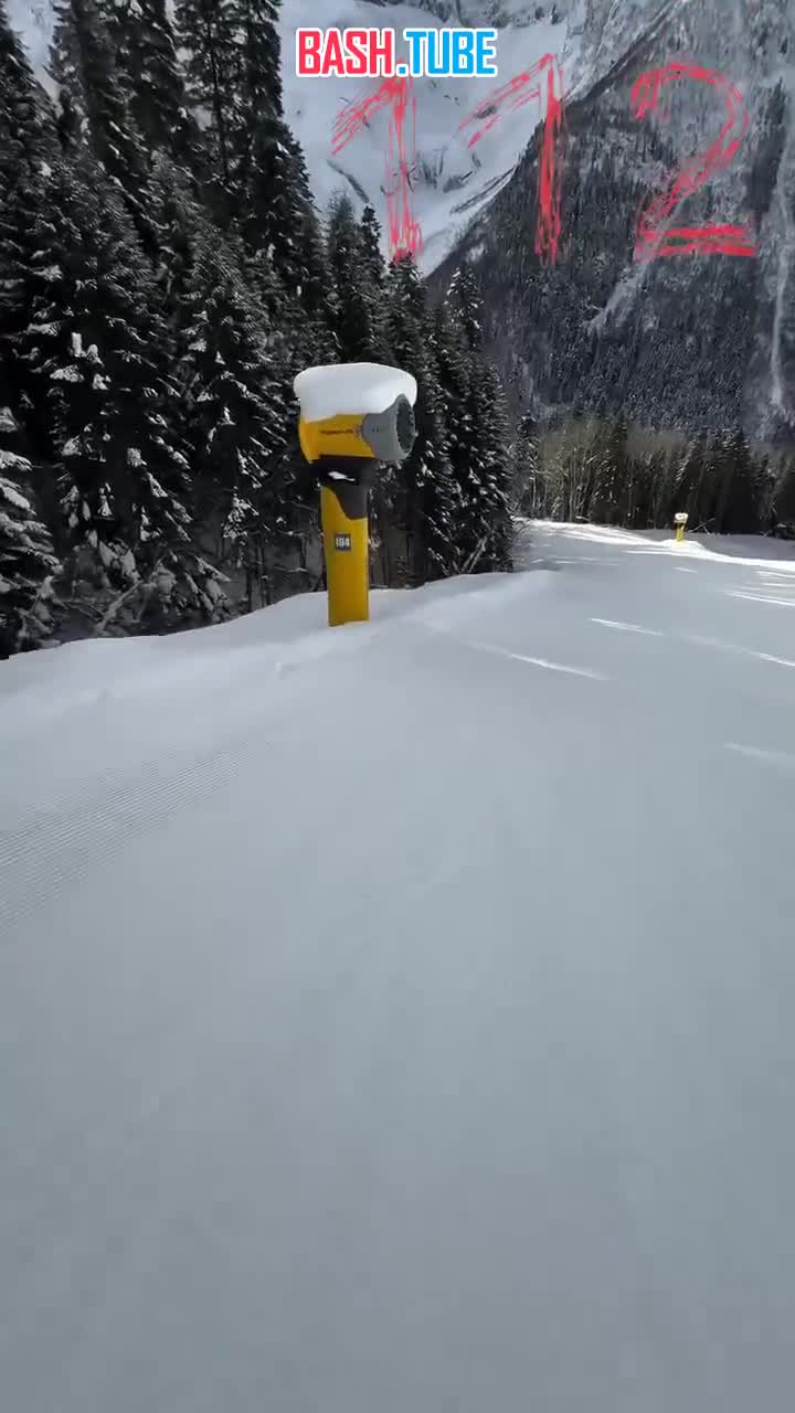  Волк устроил погоню за сноубордистом прямо на горнолыжной трассе в Домбае