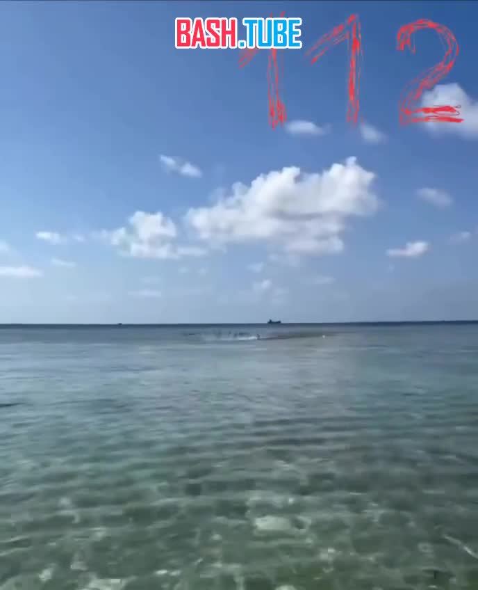  Косяк рыб внезапно атаковал русскую туристку на отдыхе на Мальдивах