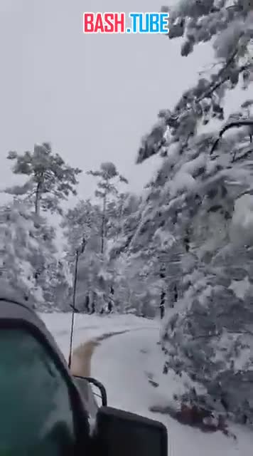  В Мексике сильный снегопад произошёл в штате Дуранго, глубина снега в Ла-Росилье и Сьенега-де-ла-Вака достигает 50 см