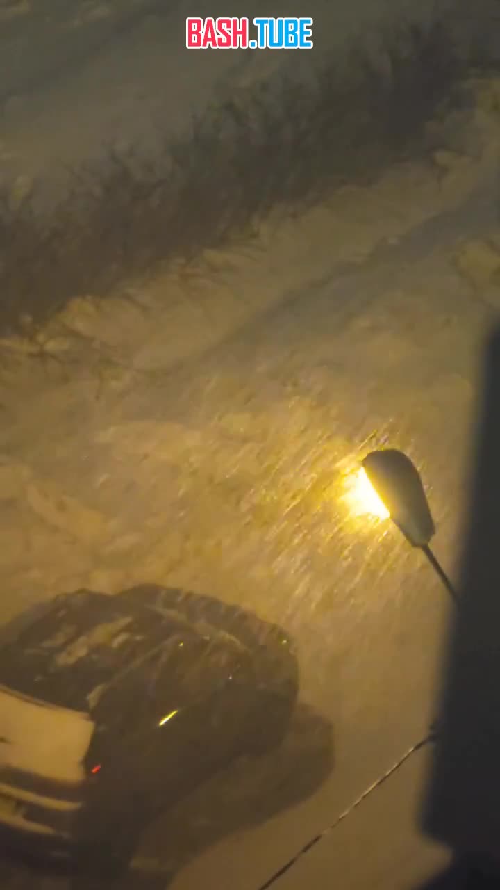  В Москве и Подмосковье начался снегопад. Его пик ожидается во вторник и в ночь на среду