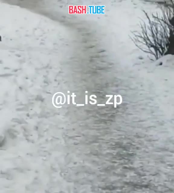  В Запорожье мужчина с автоматом расстрелял людей и застрелился сам, - украинские СМИ