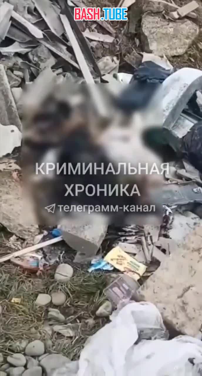  В Дагестане сожитель зверски убил и расчленил женщину. Ее труп нашли обгоревшим