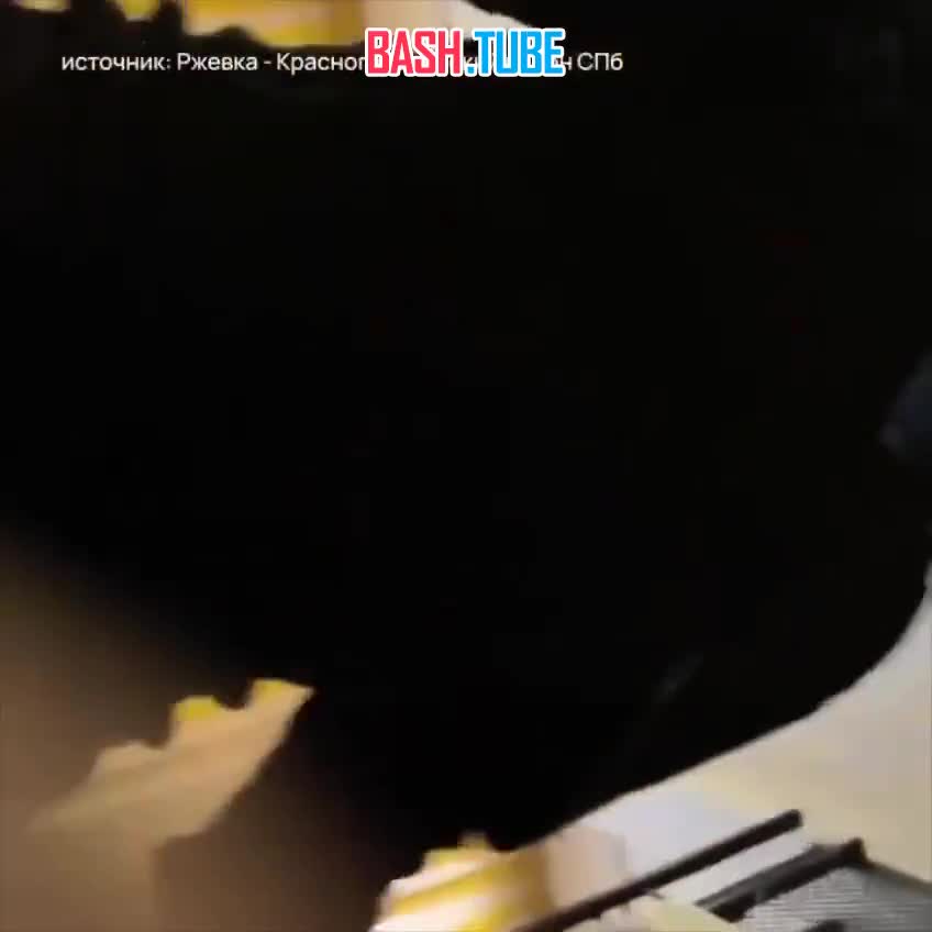  Охранник питерской гимназии угрожал избить школьников палкой с гвоздями