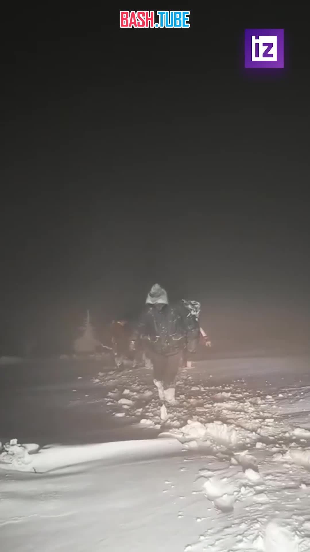  Двух «промерзших до костей» украинцев обнаружили в Карпатах румынские спасатели