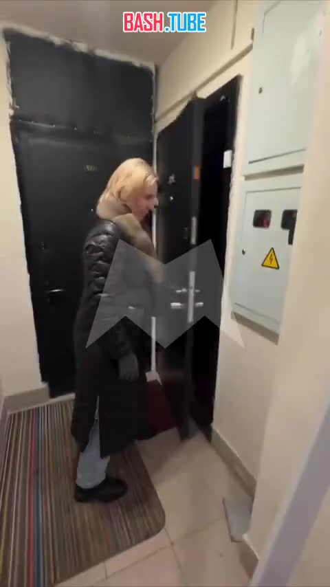  В Москве женщина сдала жилье одинокой квартирантке и через несколько месяцев там нашли 40 кошек