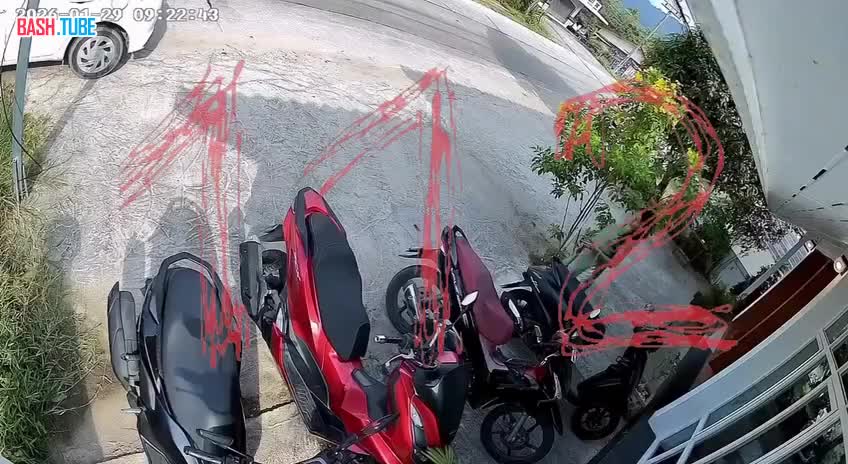  Россиянка оказалась в шаге от смерти в Таиланде