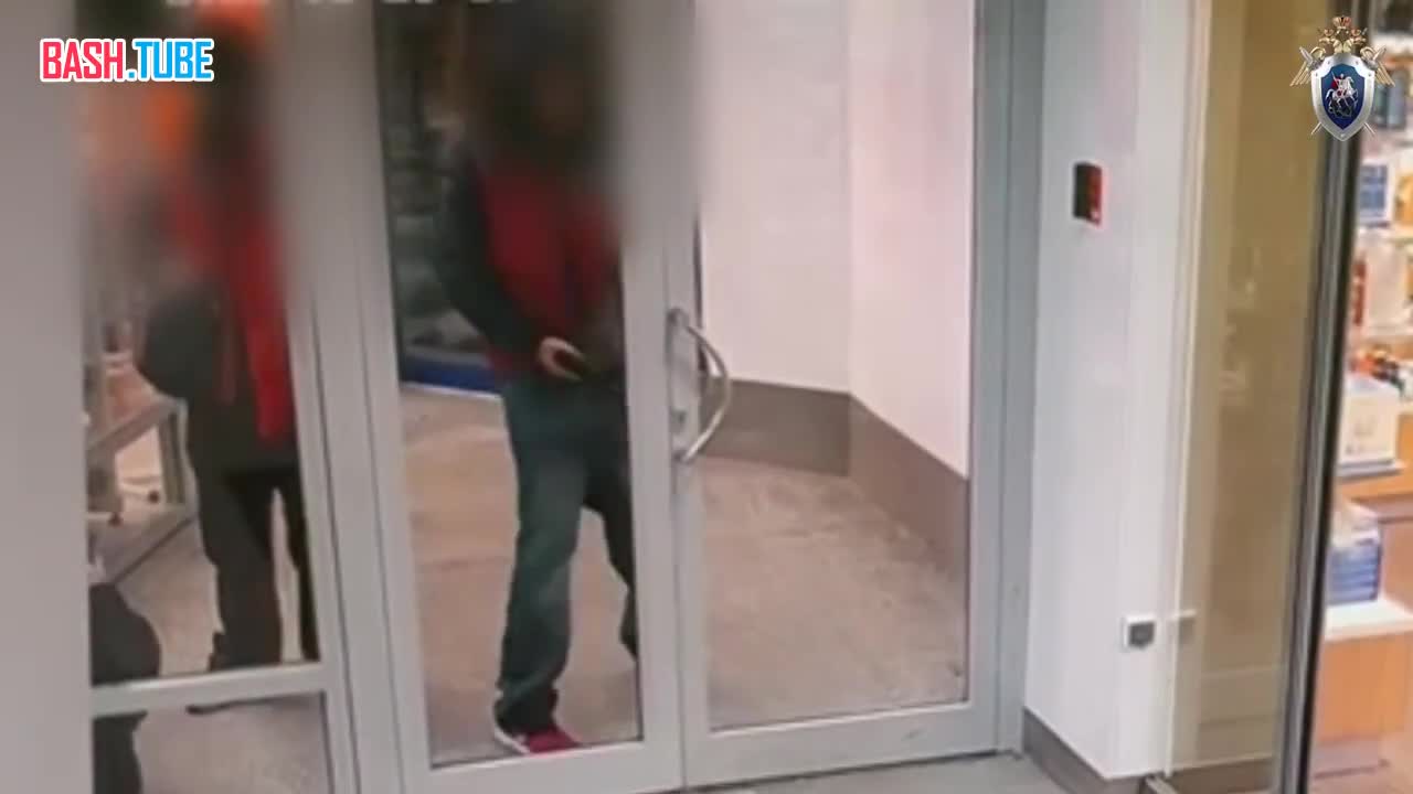  В Санкт-Петербурге задержан подросток, ранивший девушку в щеку из пневматического пистолета в ТЦ «Академ-Парк»