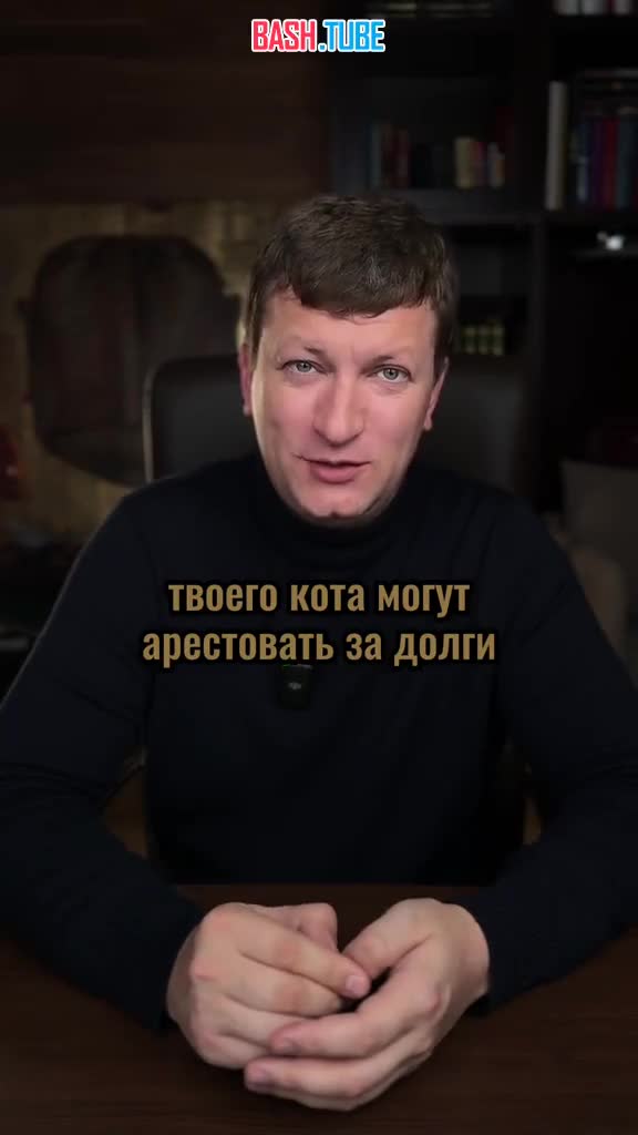  Вашего кота могут арестовать за долги и это не шутка