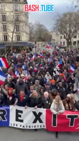  В Париже прошел марш FREXIT за выход Франции из Евросоюза