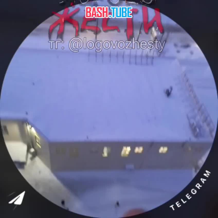  В Ярославле 17-летняя студентка Мила записала прощальное голосовое сообщение и видео