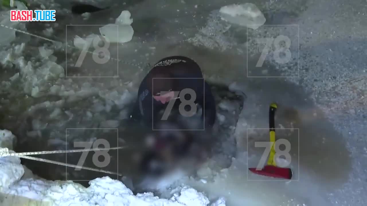  Связанное тело убитого Паши извлекли из ручья