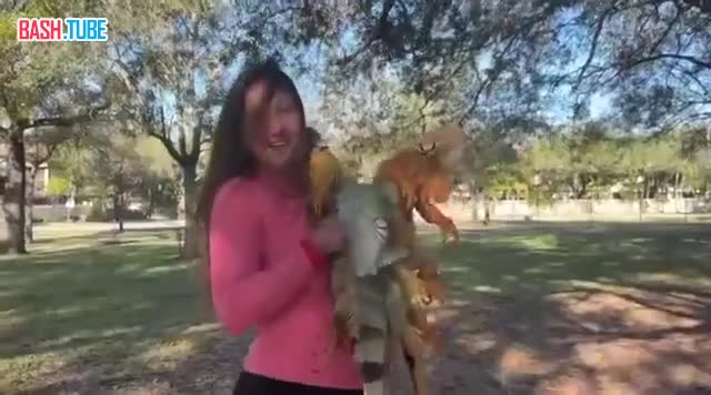  Дождь из игуан обрушился на Флориду в США