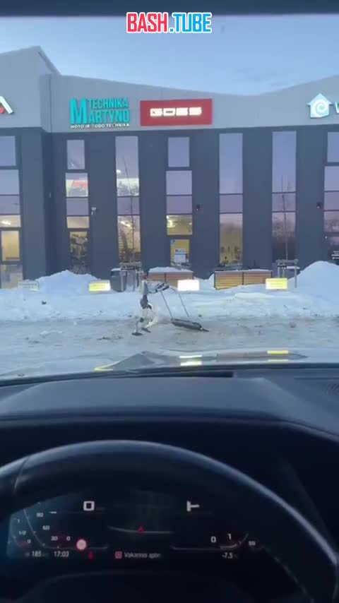  В Ростове коммунальщики решили решили привлечь к уборке снега роботов, но что-то пошло не так