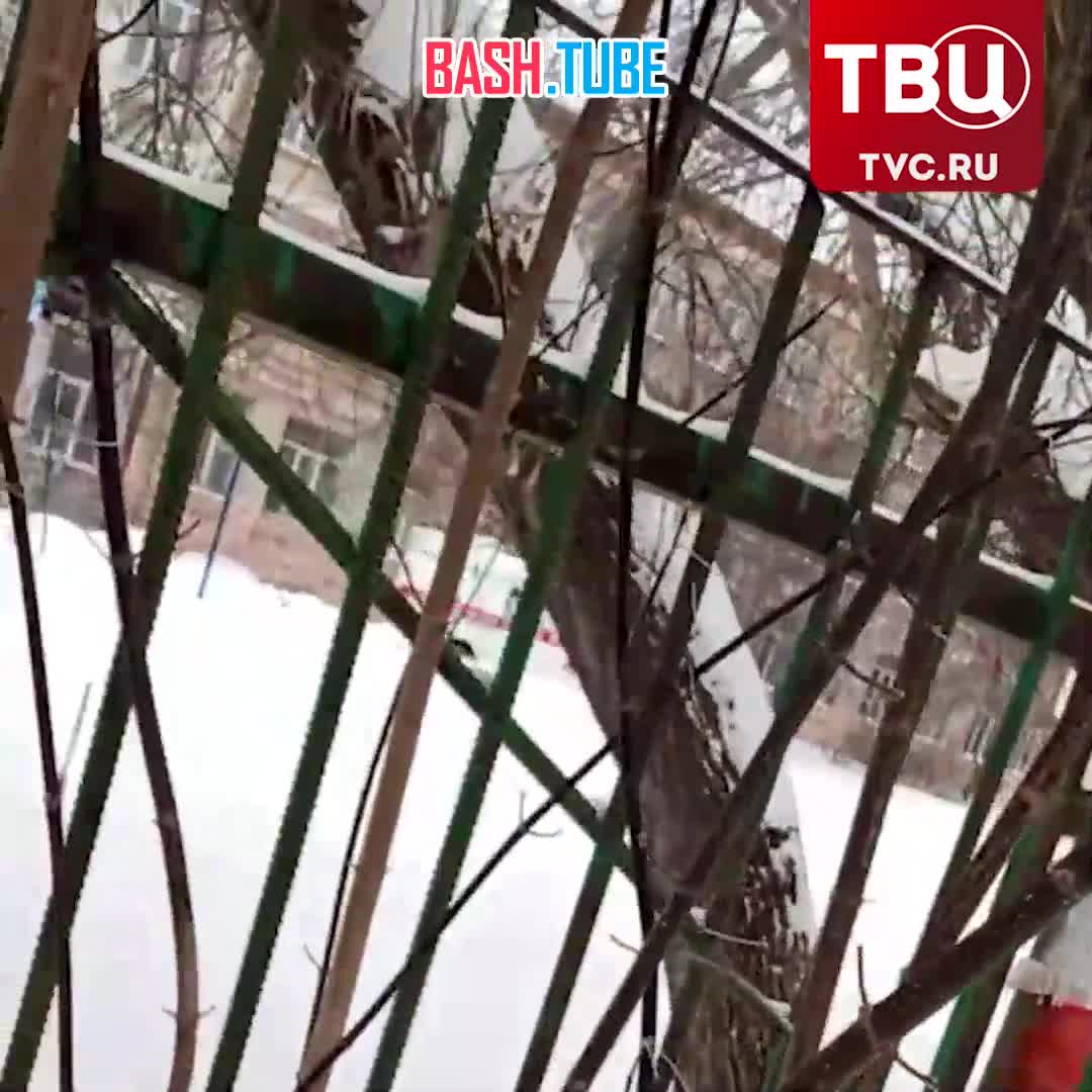  Ребенок выпал из окна третьего этажа школы в Омской области