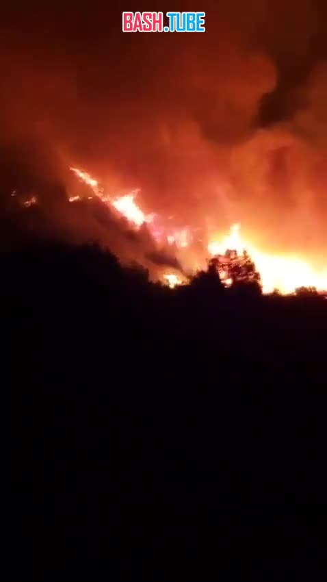  Массивные лесные пожары бушуют уже более месяца в провинции Чубут в Патагонии, Аргентина