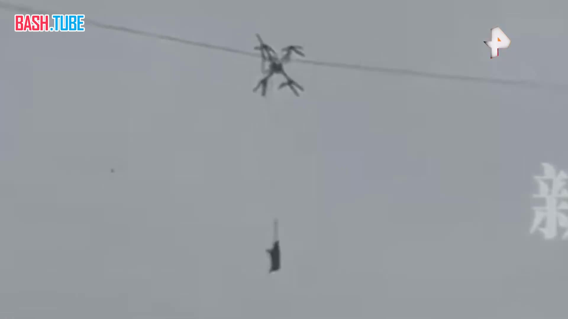  Китайский фермер лишил целую деревню электричества, решив «перевезти» свинью с помощью дрона