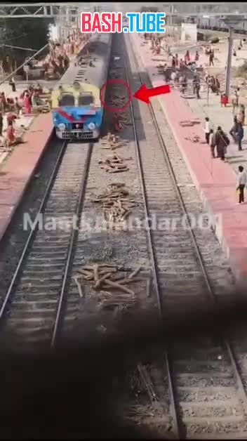  На железной дороге в Индии отскочившее из‑под колес поезда бревно смертельно травмировало женщину
