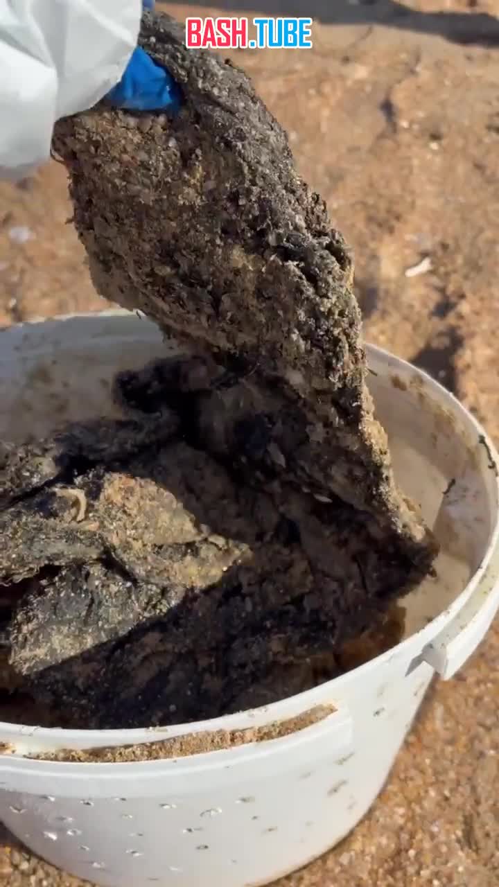  В Анапе вновь фиксируются выбросы мазута. Волонтеры жалуются на фальсификацию отчетов региональными властями