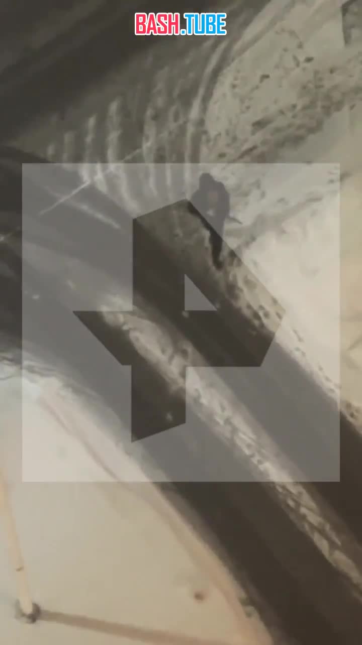  Неизвестный с игрушечным автоматом напугал соседей в Санкт-Петербурге