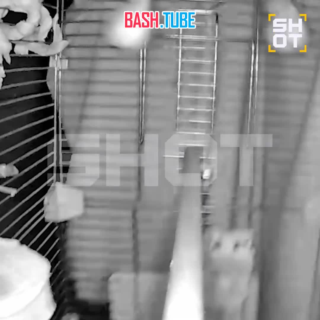  Момент землетрясения в Анапе