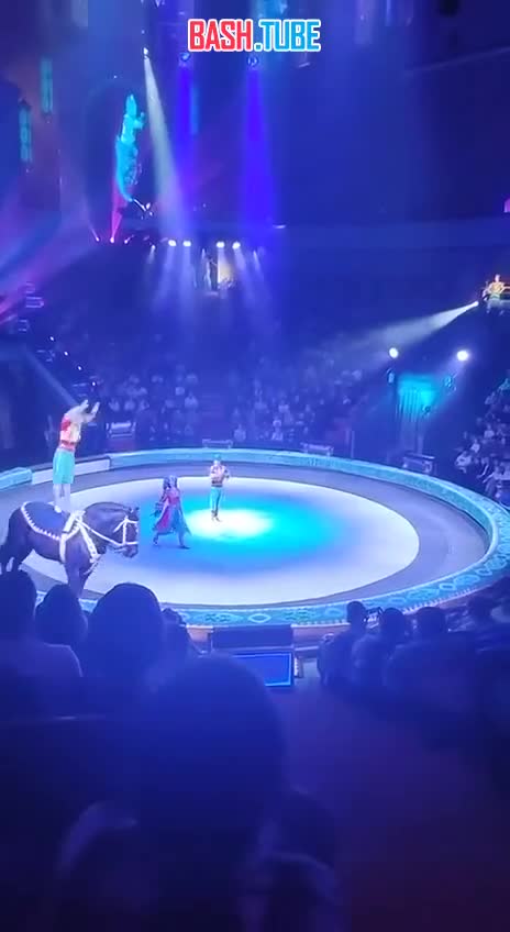  Акробат сломал ногу при падении с лошади в нижегородском цирке