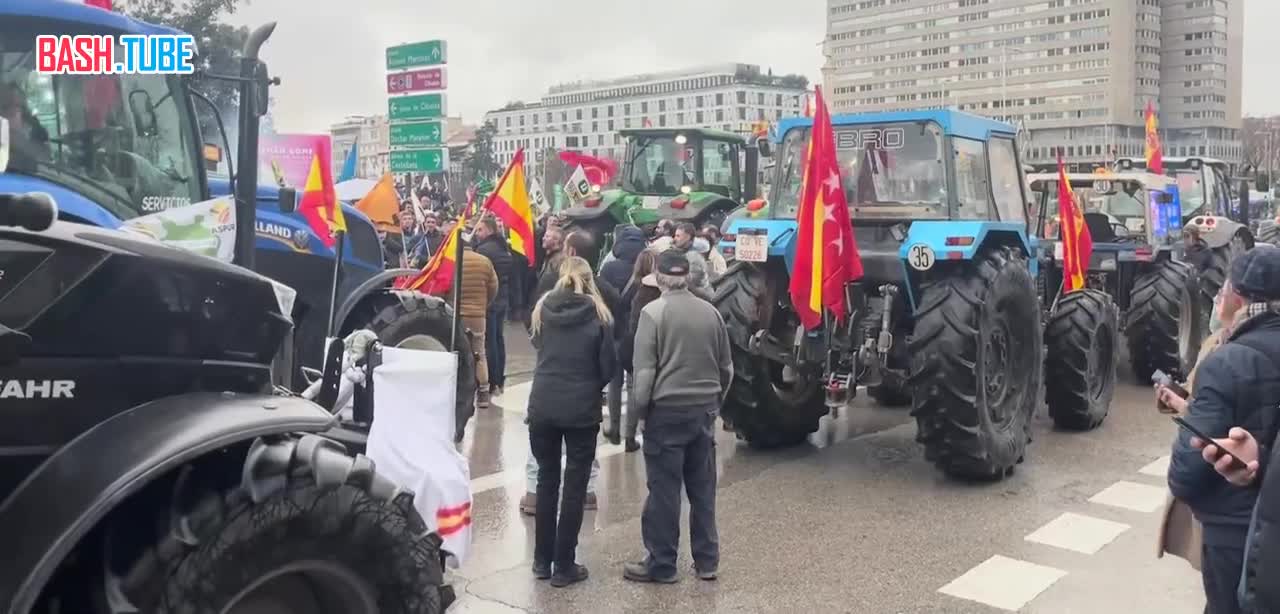  Фермеры устроили протест в Мадриде из-за сделки с «Меркосур», - СМИ