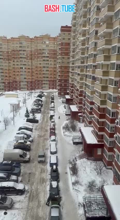  В Подмосковье девочка избила собаку во время прогулки