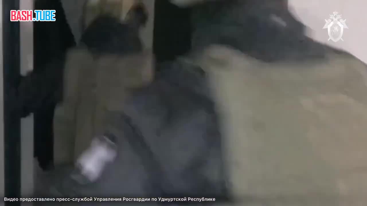  В Удмуртской Республике двое местных жителей обвиняются в мошенничестве в отношении участника СВО
