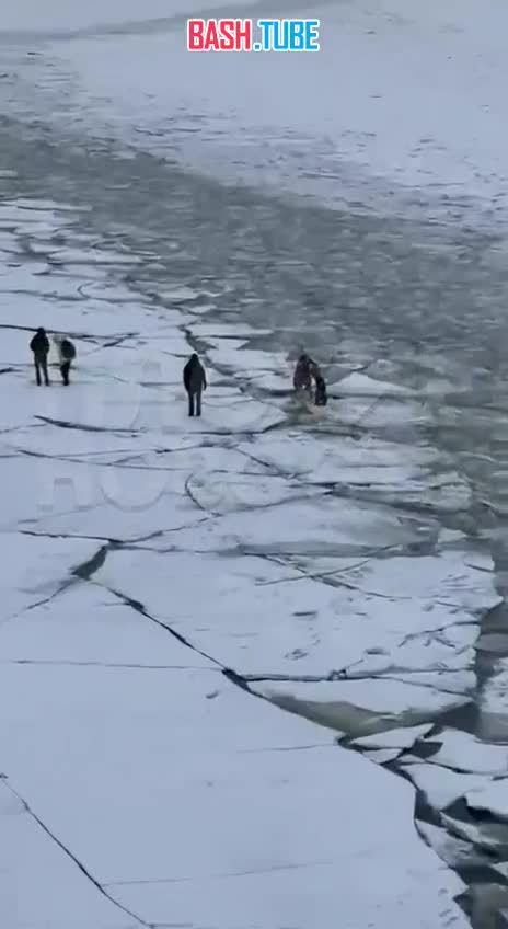  Мать года 2026: в Петербурге женщина водила сына по колотому льду Невы