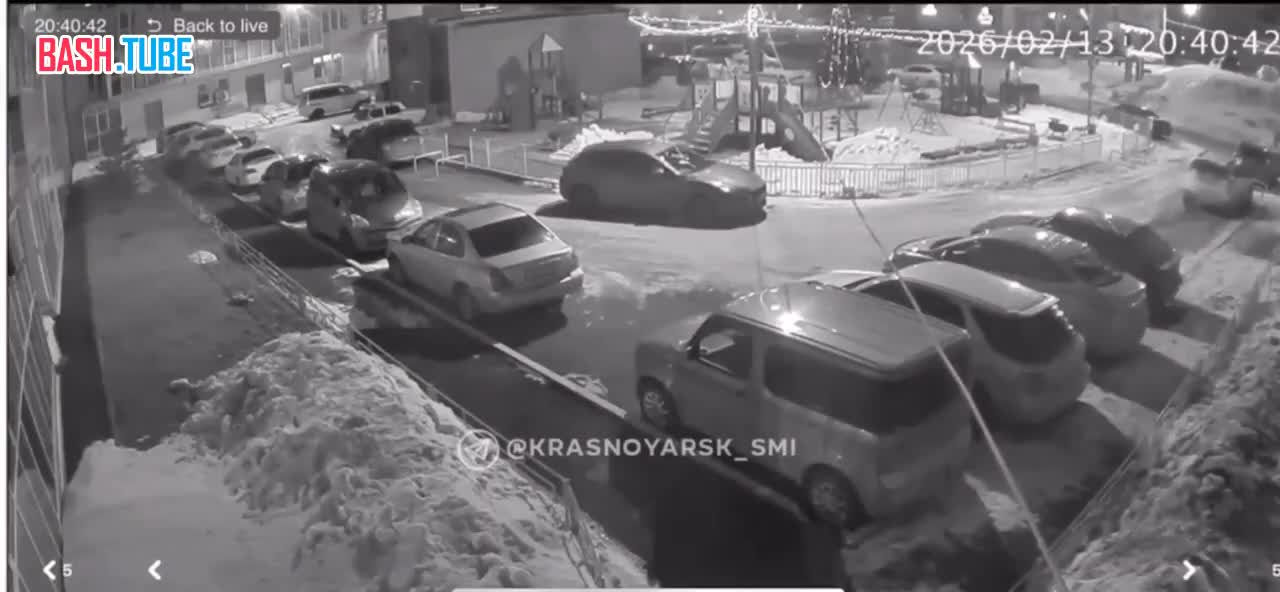  Женщина из Красноярска после ссоры с мужем выбросила из окна двух кошек, собаку и множество бытовых вещей