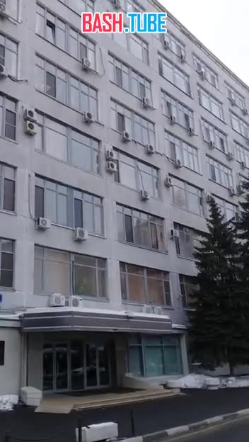  «Вы что делаете, идиоты? Идиоты»