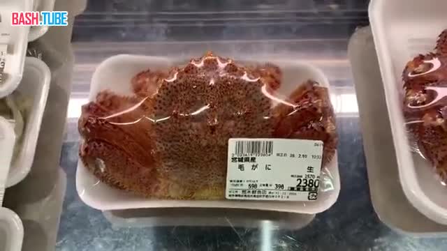  В Японии показали, что значит «свежие морепродукты»: живых крабов укладывают в лотки и заматывают в плёнку
