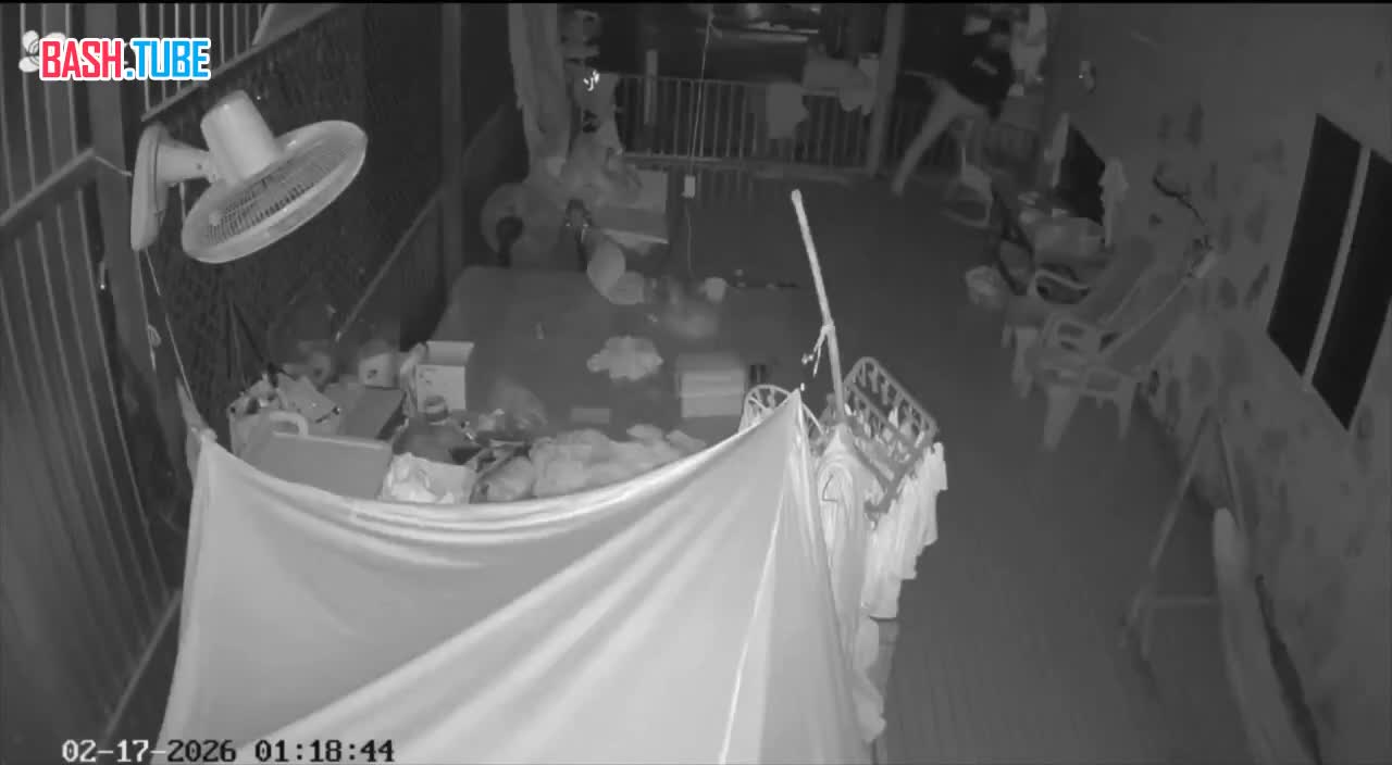  Китайца прямо во сне зарезал бывший жених дочери