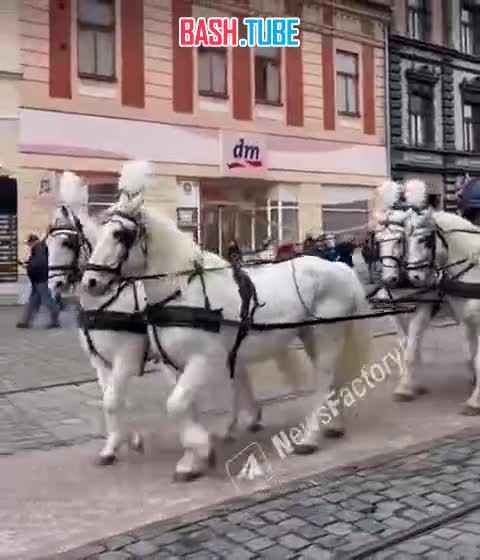  Ничего необычного, просто похороны цыганского короля в Словакии