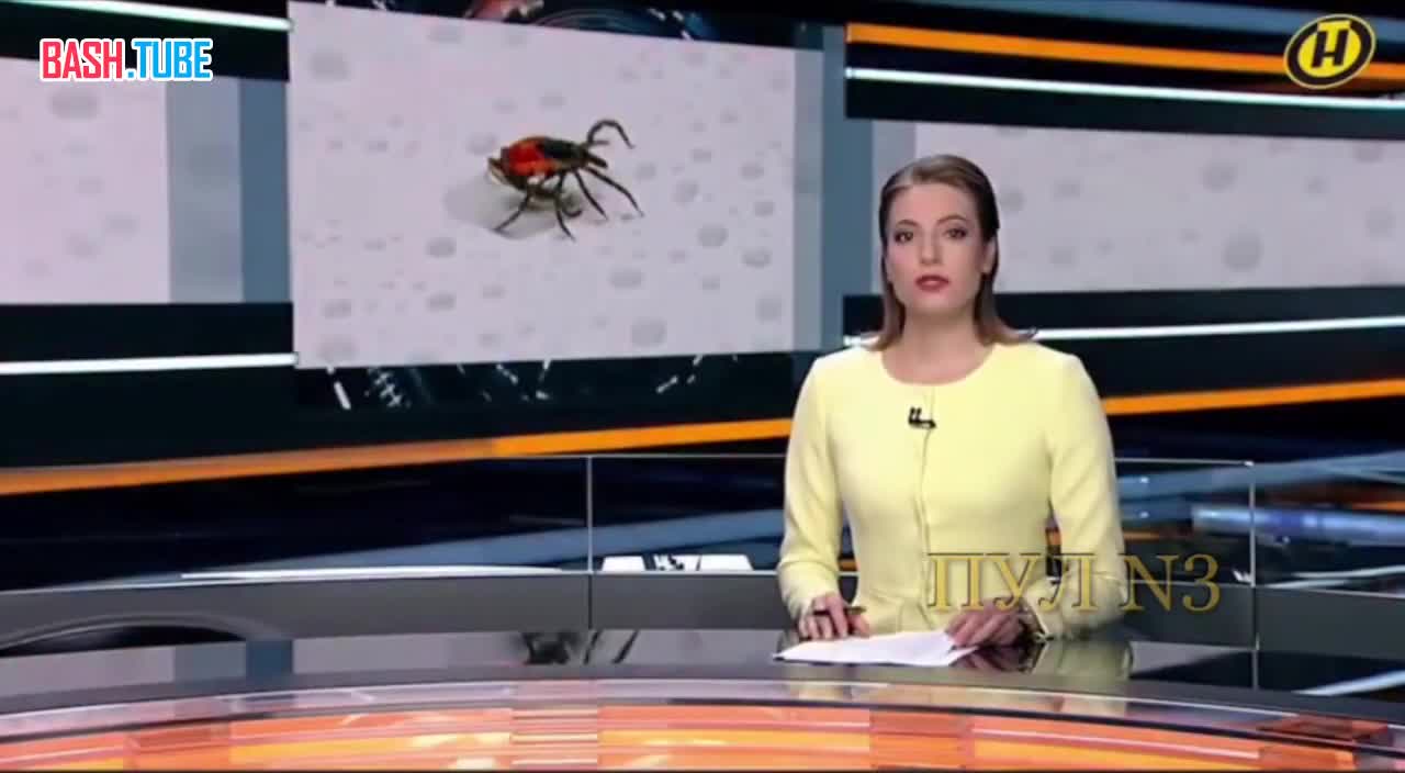  Клещи из Беларуси уже угрожают жителям России, - СМИ