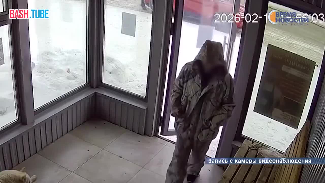  В Нефтекамске мужик решил самоутвердиться за счёт собаки, избив её на ровном месте