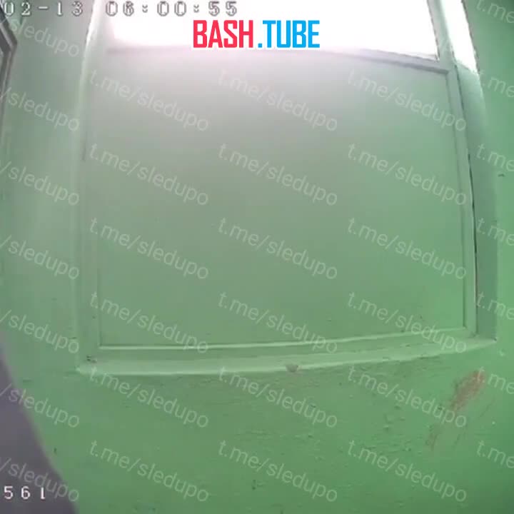  Безумный педофил начал мастурбировать перед 12-летней девочкой в Тынде Амурской области