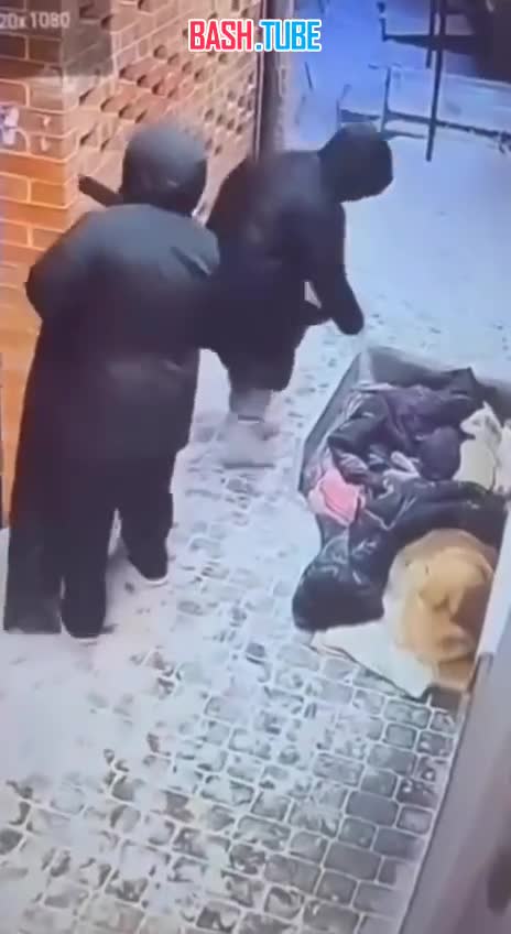  В Воронеже женщины разорили тёплый уголок для щенков и облили его хлоркой