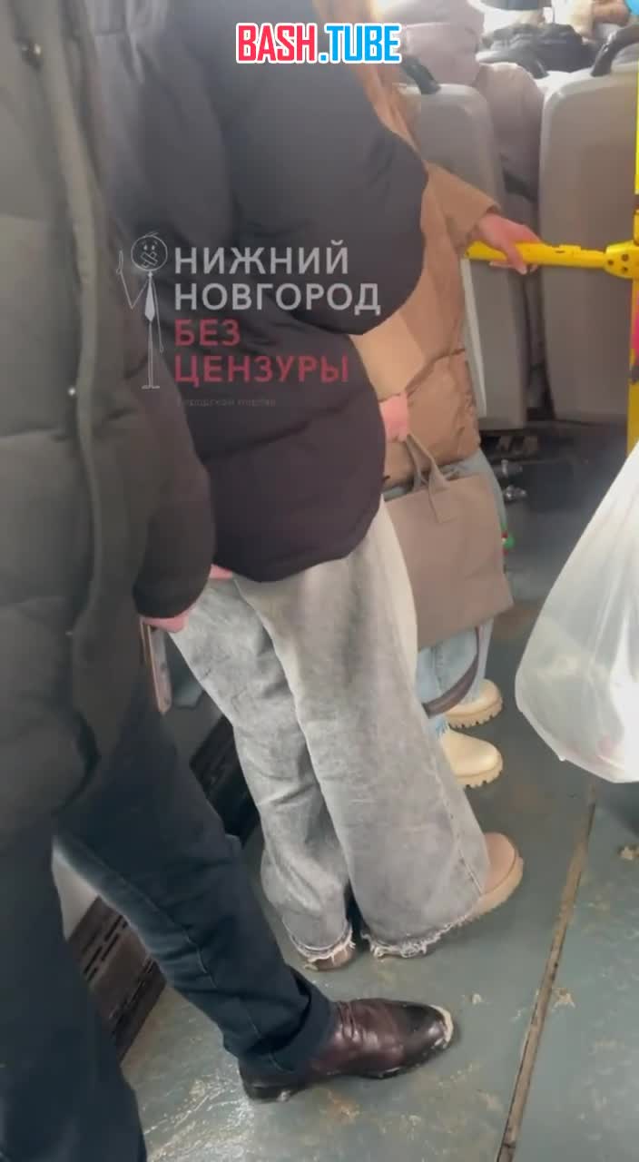 В Нижнем Новгороде пожилой мигрант трогал юных девушек в автобусе
