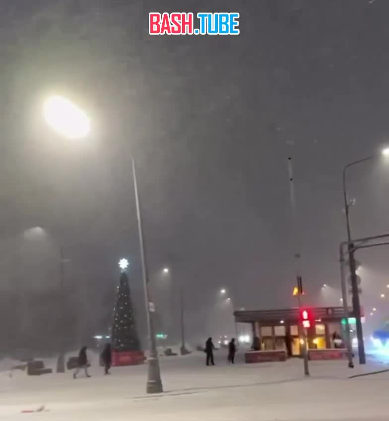 В ближайшие часы и до конца суток в Москве ожидаются снег, метель и порывы ветра до 17 м/с