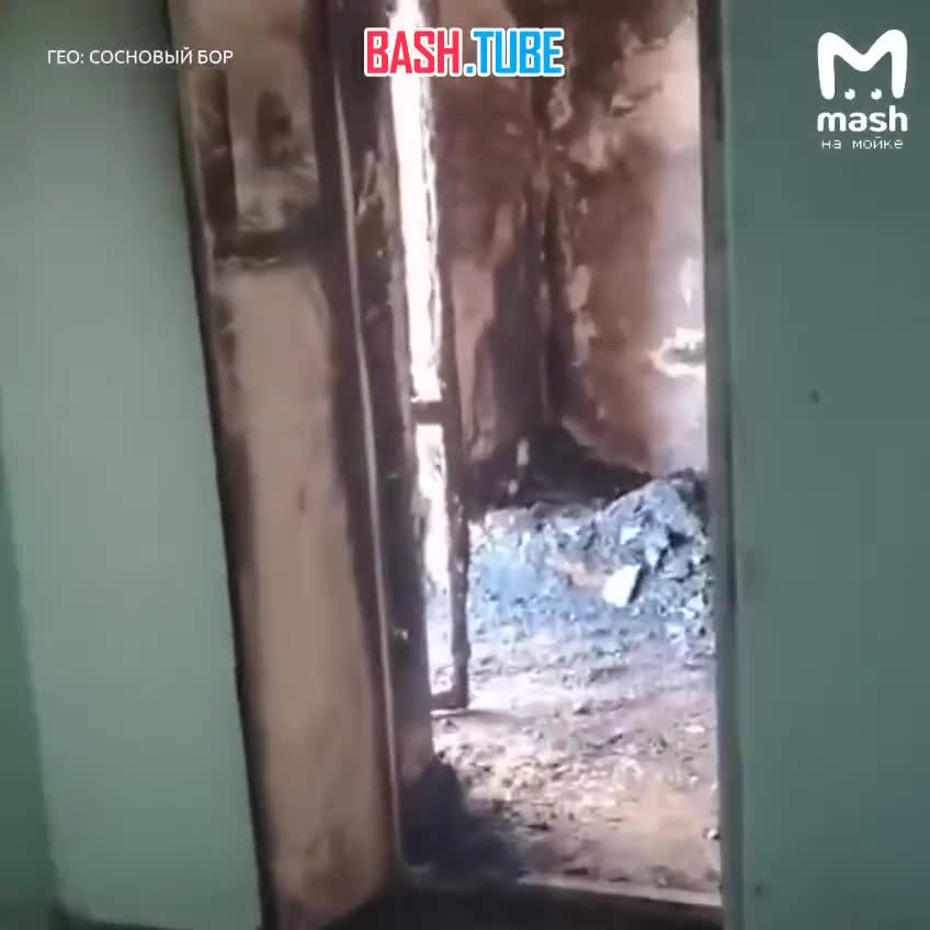  Последствия пожара в многоквартирном доме в Сосновом Бору - четвёртый этаж превратился в чёрные угольные руины
