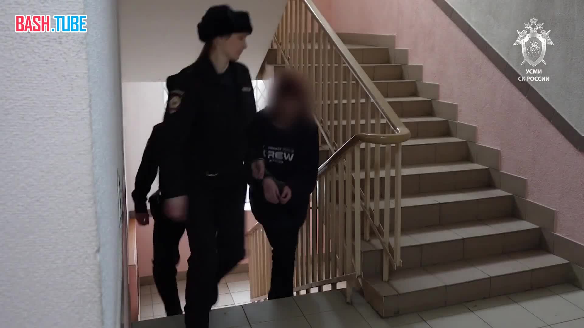  Школьница, подговорившая подростка напасть на одноклассника с ножом в Пермском крае, арестована