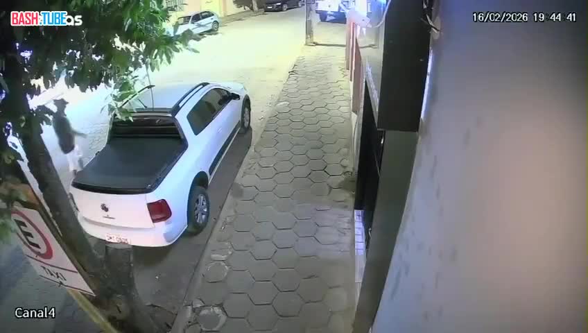  В Аргентине пешеход едва не погиб из-за горе-водителя